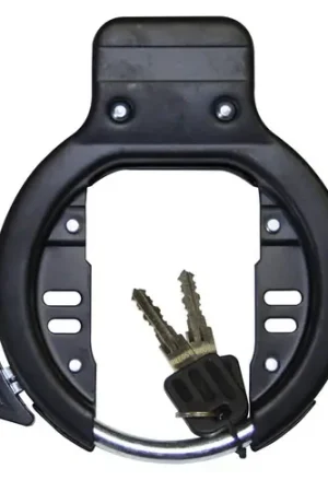 Beperkt Aanbod Qtcycletech qt cycle tech ringslot framebevestiging 0802814