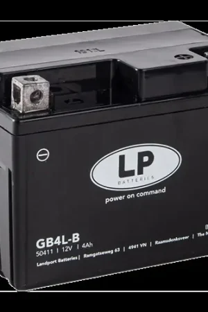 Betaalbaar Landport gel accu lb4l-b 12v a (4ah formaat) (sla 12-4s)